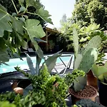 - Odeur De Tilleul Bed and Breakfast Montbrison