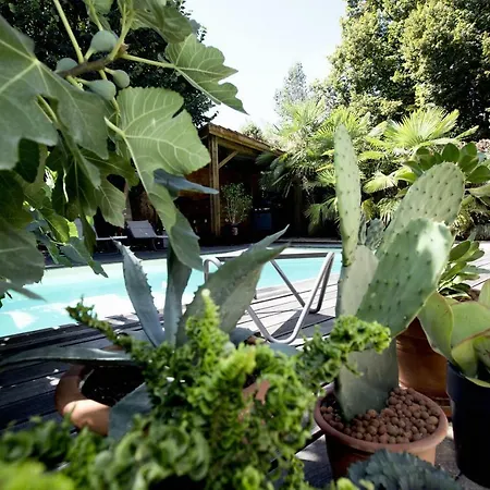 Odeur De Tilleul Bed & Breakfast Montbrison